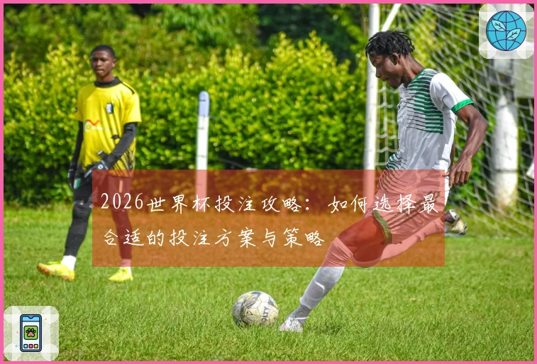 2026世界杯投注攻略：如何选择最合适的投注方案与策略