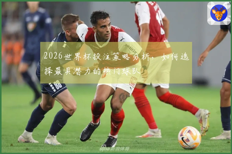 2026世界杯投注策略分析，如何选择最具潜力的热门球队