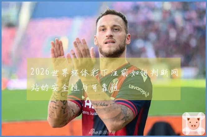 2026世界杯体彩下注前如何判断网站的安全性与可靠性