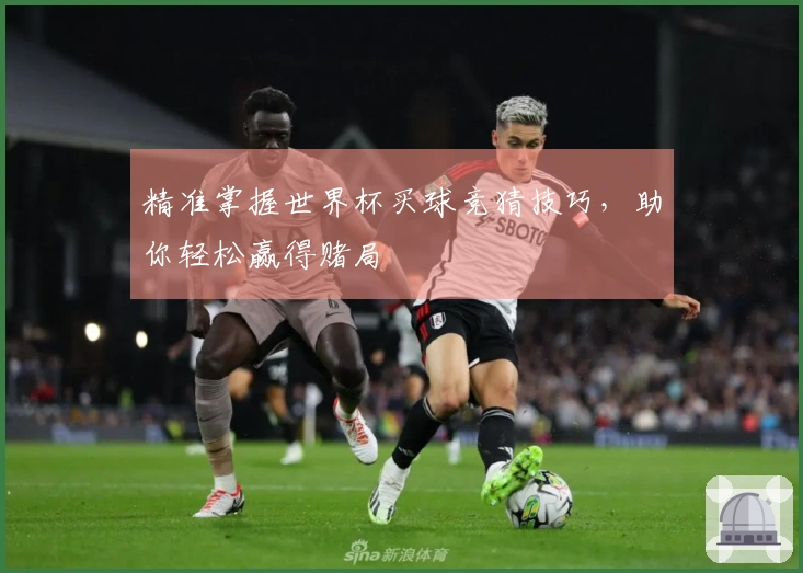 精准掌握世界杯买球竞猜技巧，助你轻松赢得赌局