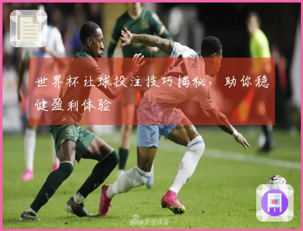 世界杯让球投注技巧揭秘，助你稳健盈利体验