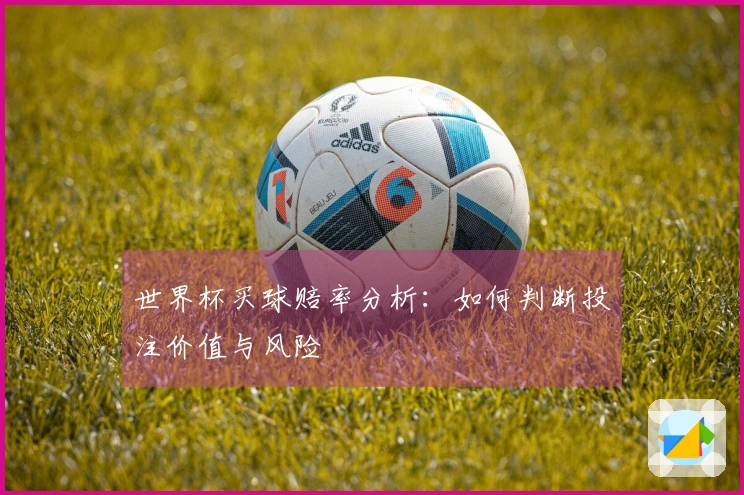 世界杯买球赔率分析：如何判断投注价值与风险