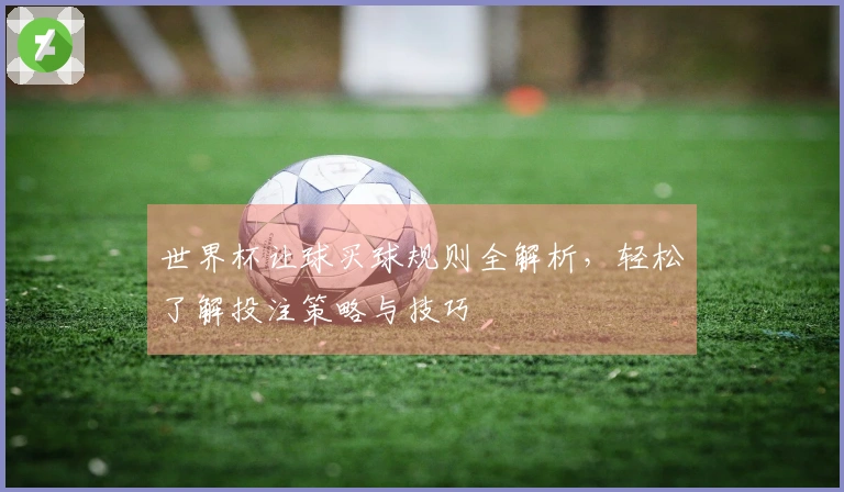 世界杯让球买球规则全解析，轻松了解投注策略与技巧