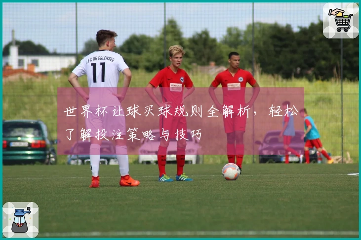 世界杯让球买球规则全解析，轻松了解投注策略与技巧