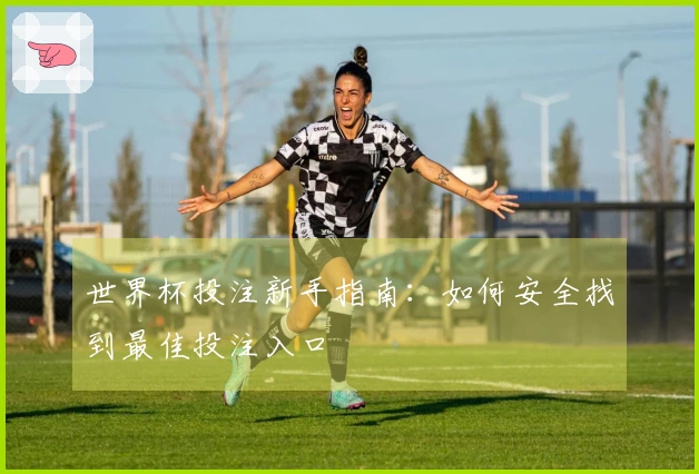 世界杯投注新手指南：如何安全找到最佳投注入口