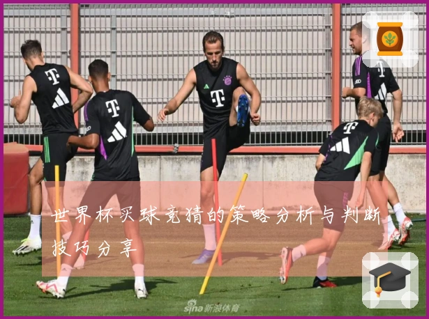 世界杯买球竞猜的策略分析与判断技巧分享
