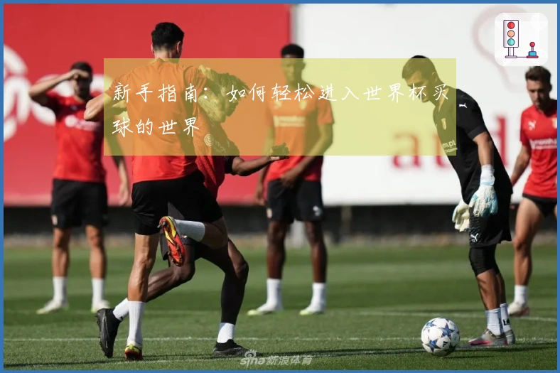 新手指南：如何轻松进入世界杯买球的世界