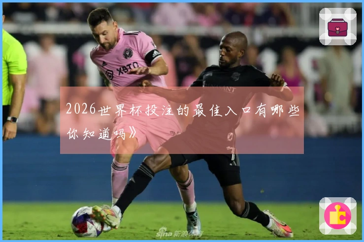 2026世界杯投注的最佳入口有哪些你知道吗》