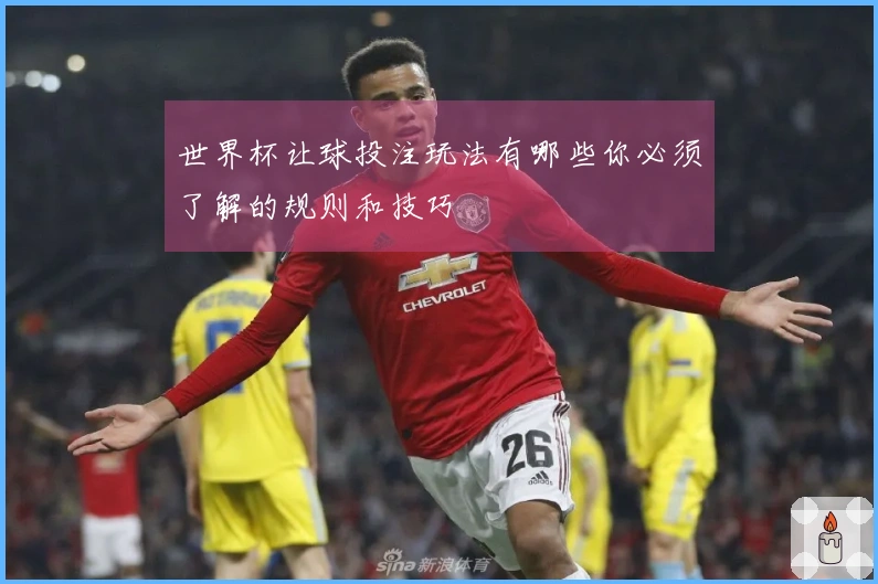 世界杯让球投注玩法有哪些你必须了解的规则和技巧