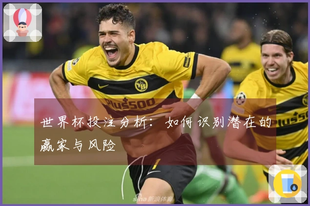世界杯投注分析：如何识别潜在的赢家与风险