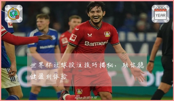 世界杯让球投注技巧揭秘，助你稳健盈利体验