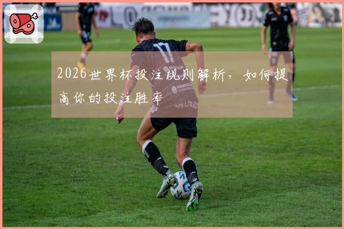 2026世界杯投注规则解析，如何提高你的投注胜率