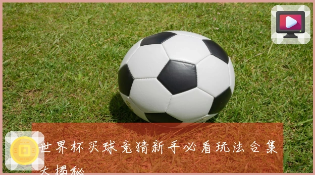 世界杯买球竞猜新手必看玩法合集大揭秘