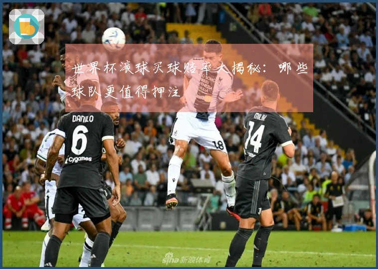 世界杯滚球买球赔率大揭秘：哪些球队更值得押注