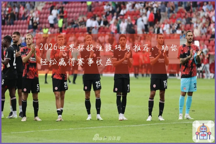 2026世界杯投注技巧与推荐，助你轻松赢得赛事收益