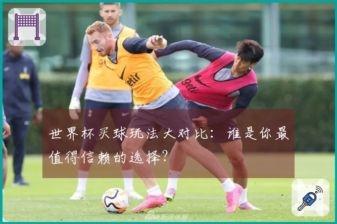 世界杯买球玩法大对比：谁是你最值得信赖的选择？