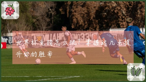 世界杯竞猜怎么玩？掌握这几点提升你的胜率